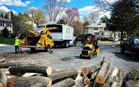 Best Firewood Processing and Delivery  in Terra Alta, WV